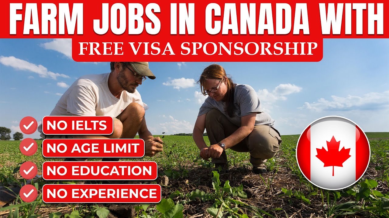 Migrate To Canada As A Farm Worker Apply Online TeeGeeWeb